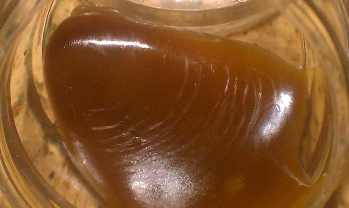 IMAG2531