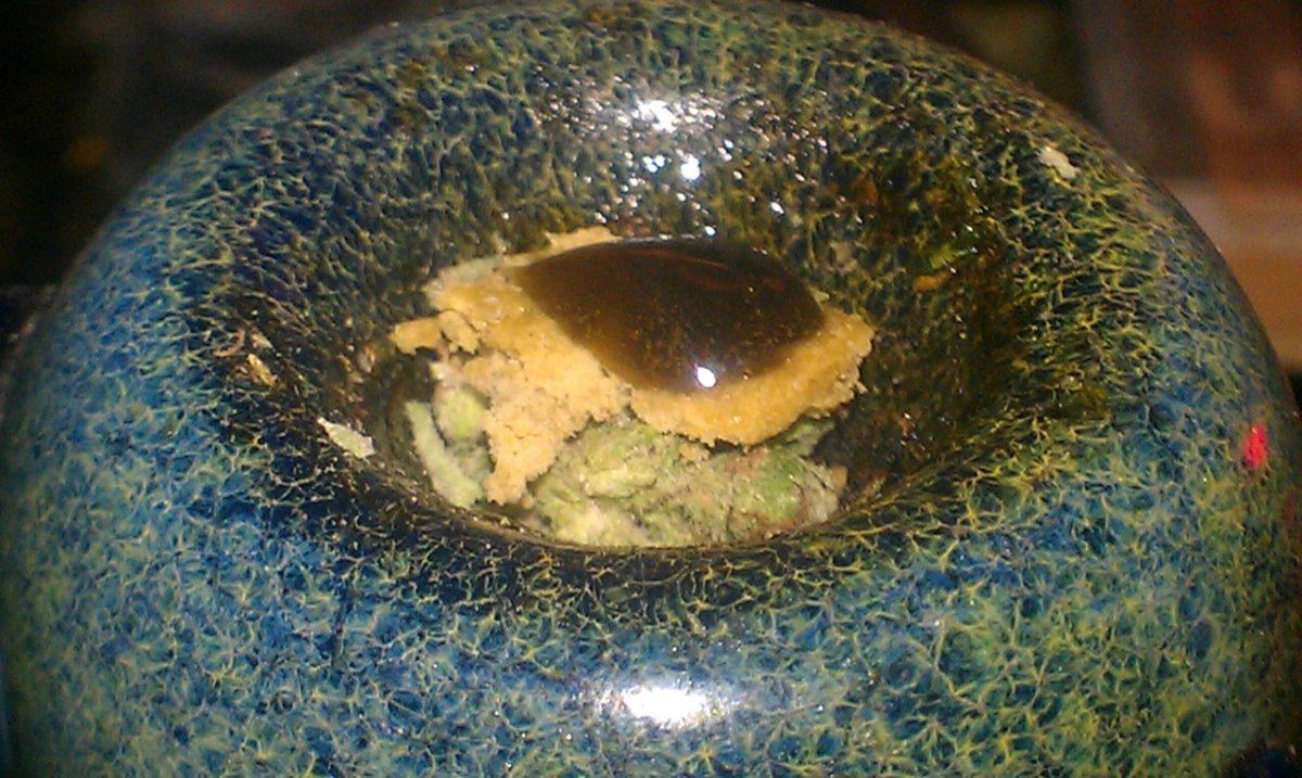 IMAG2687