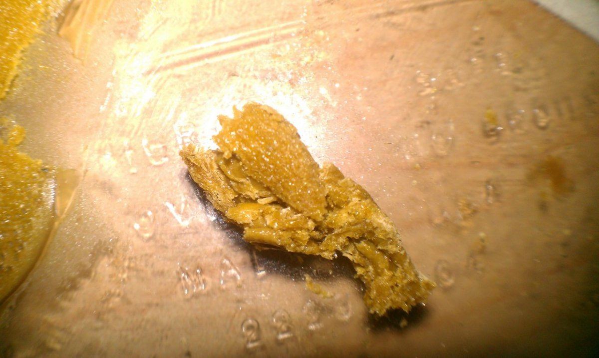 IMAG2802