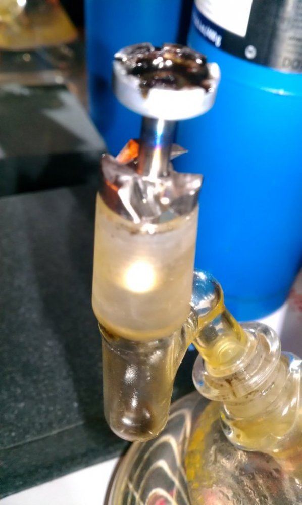 IMAG3507
