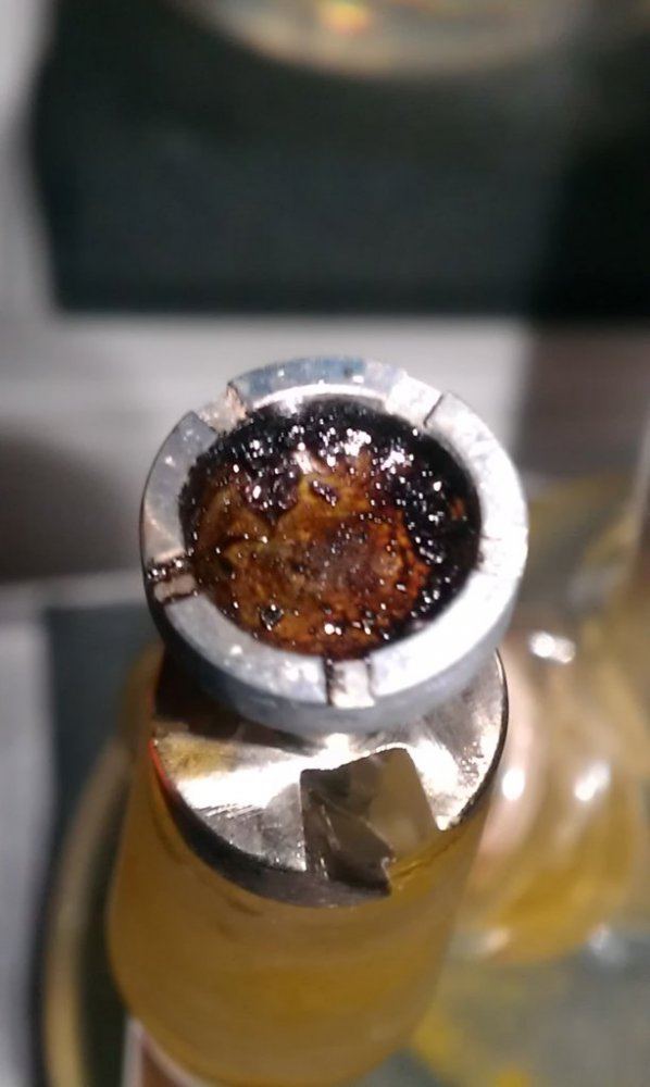 IMAG3524