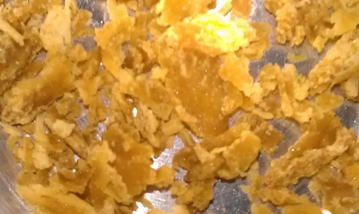 IMAG3702