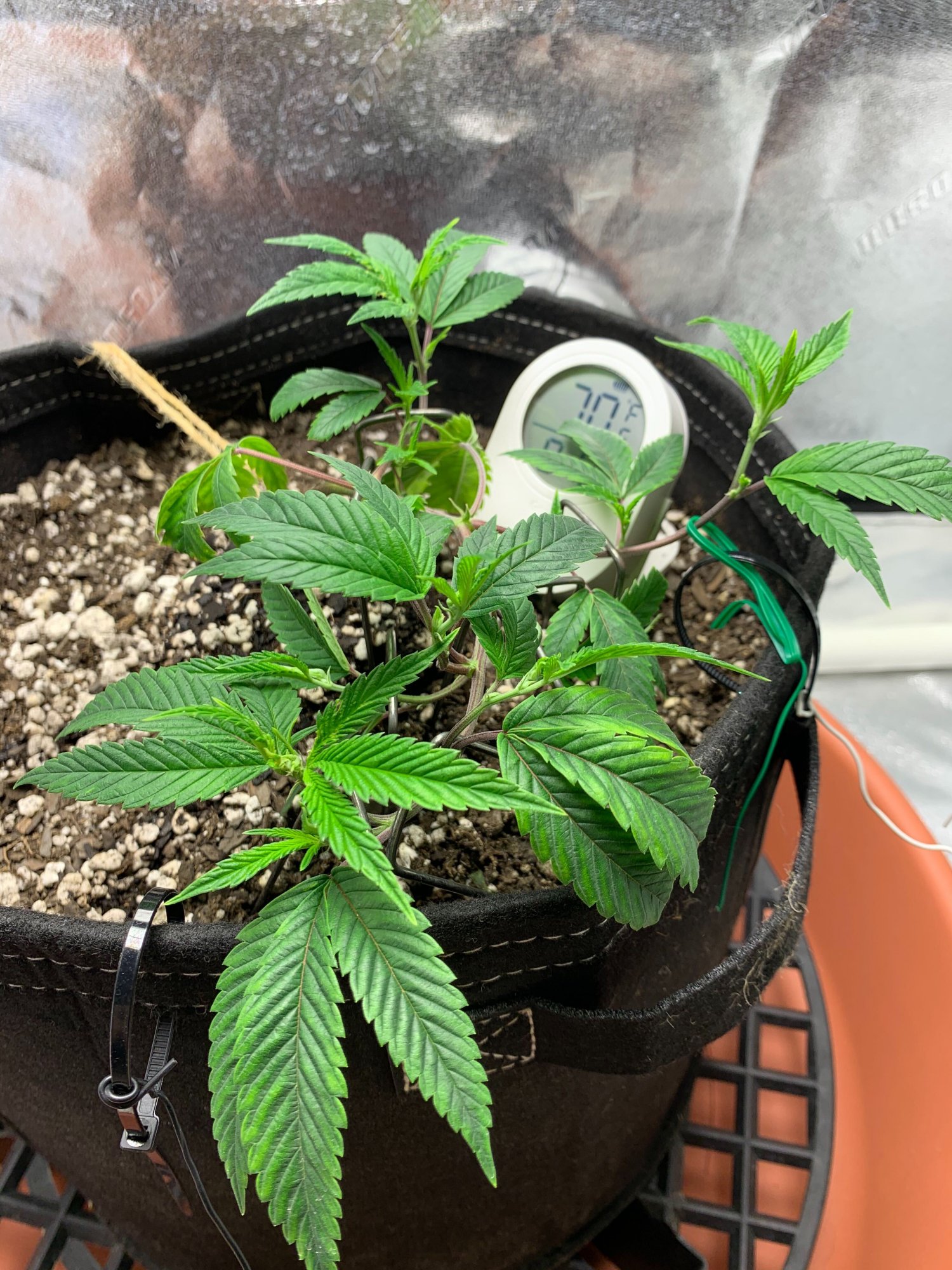 Image from iOS 1