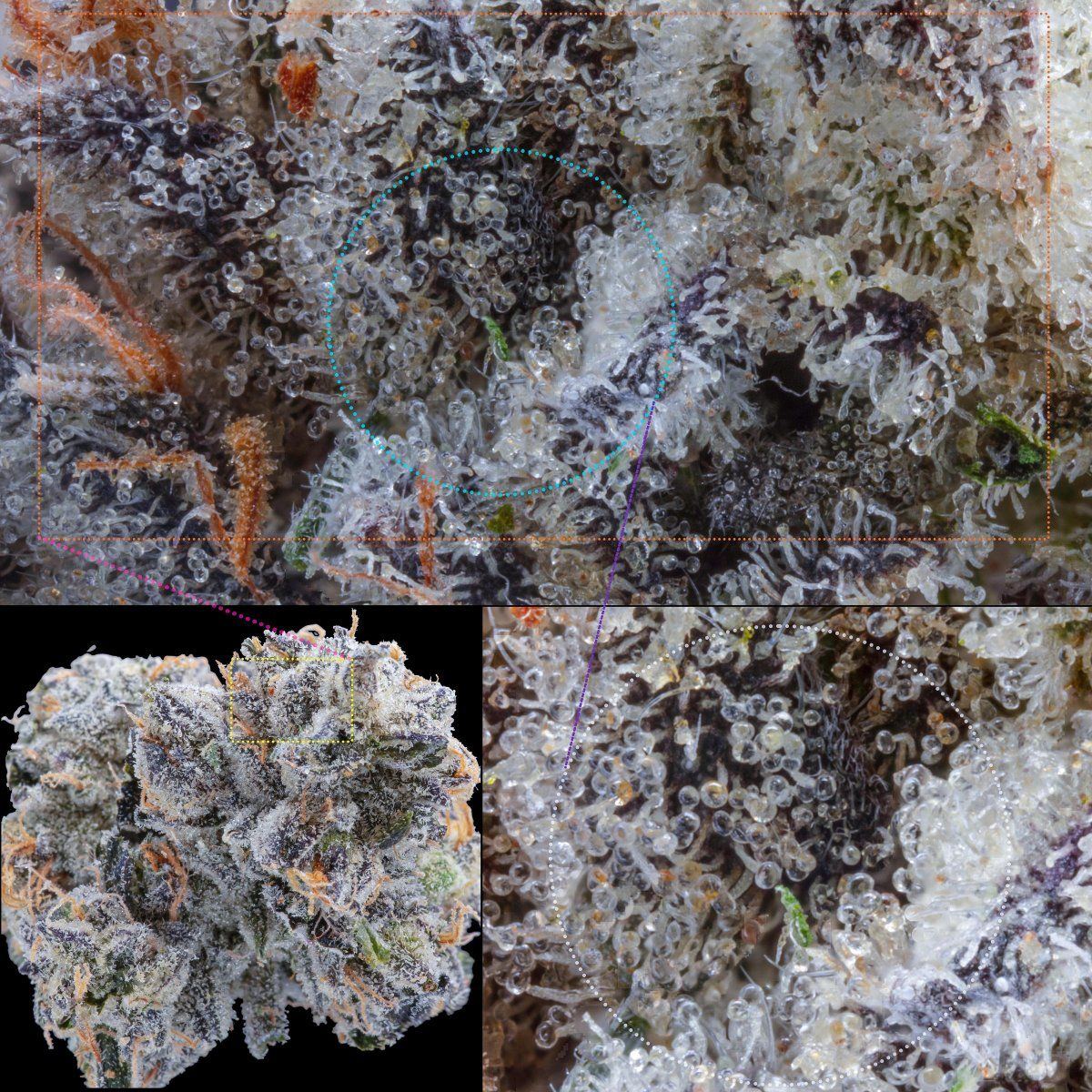 Image stack 2