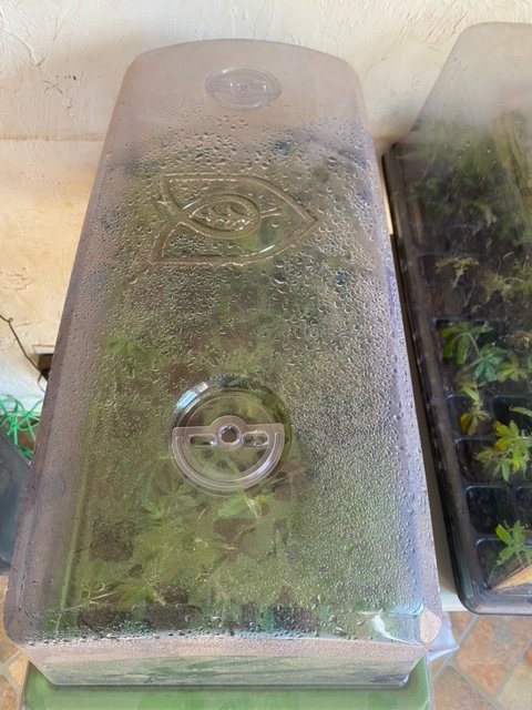 Image02760