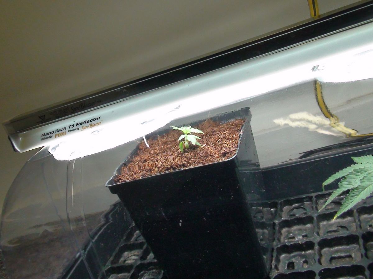 Image00003