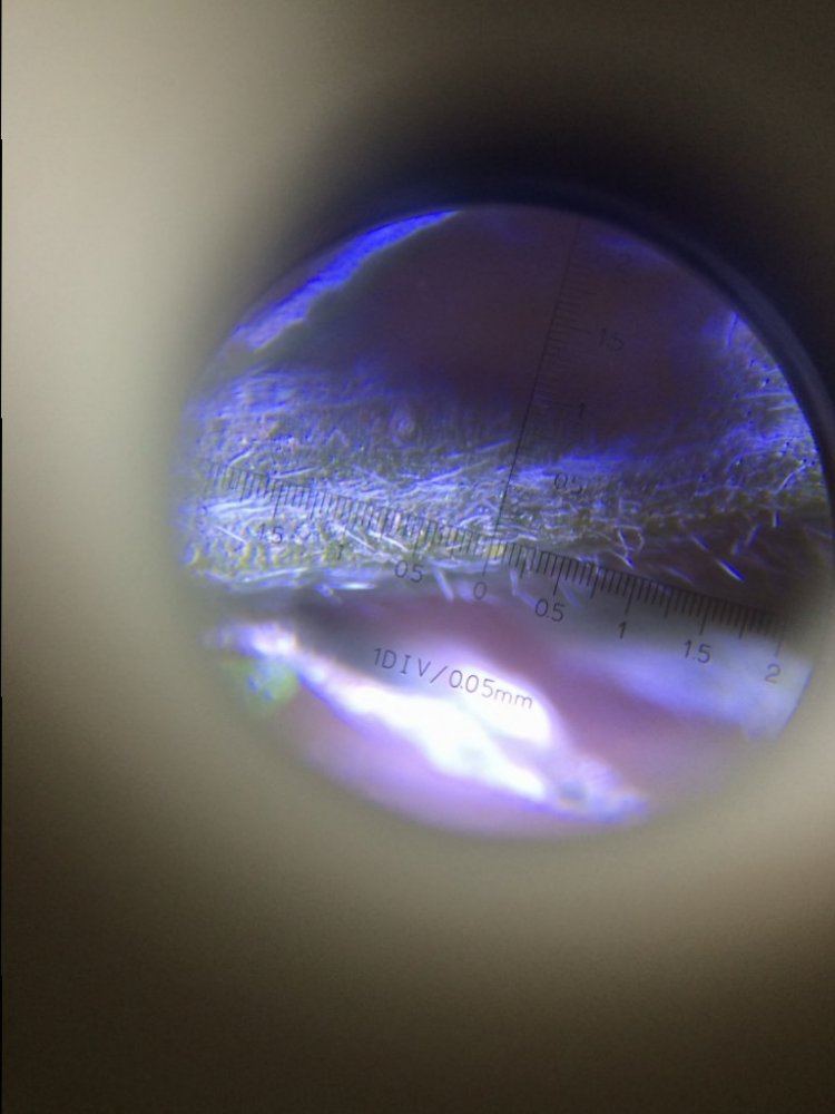 Image2