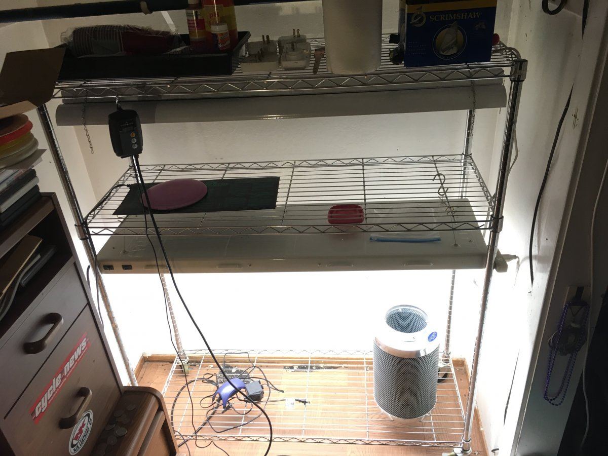 Image2