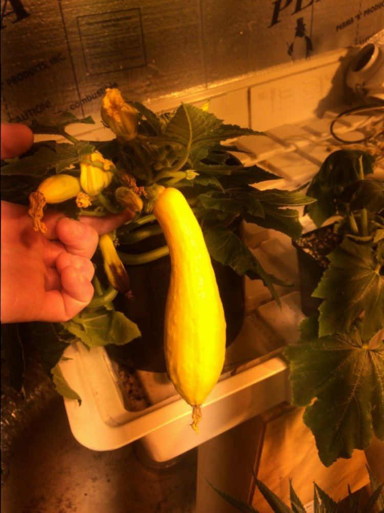 Image8