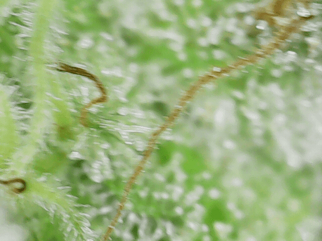 Image 2023 08 21 08 11 55 646
