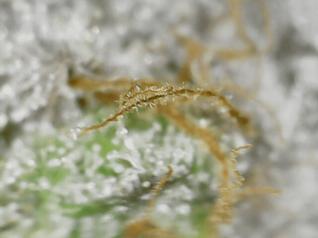 Image 2023 08 21 08 13 12 441