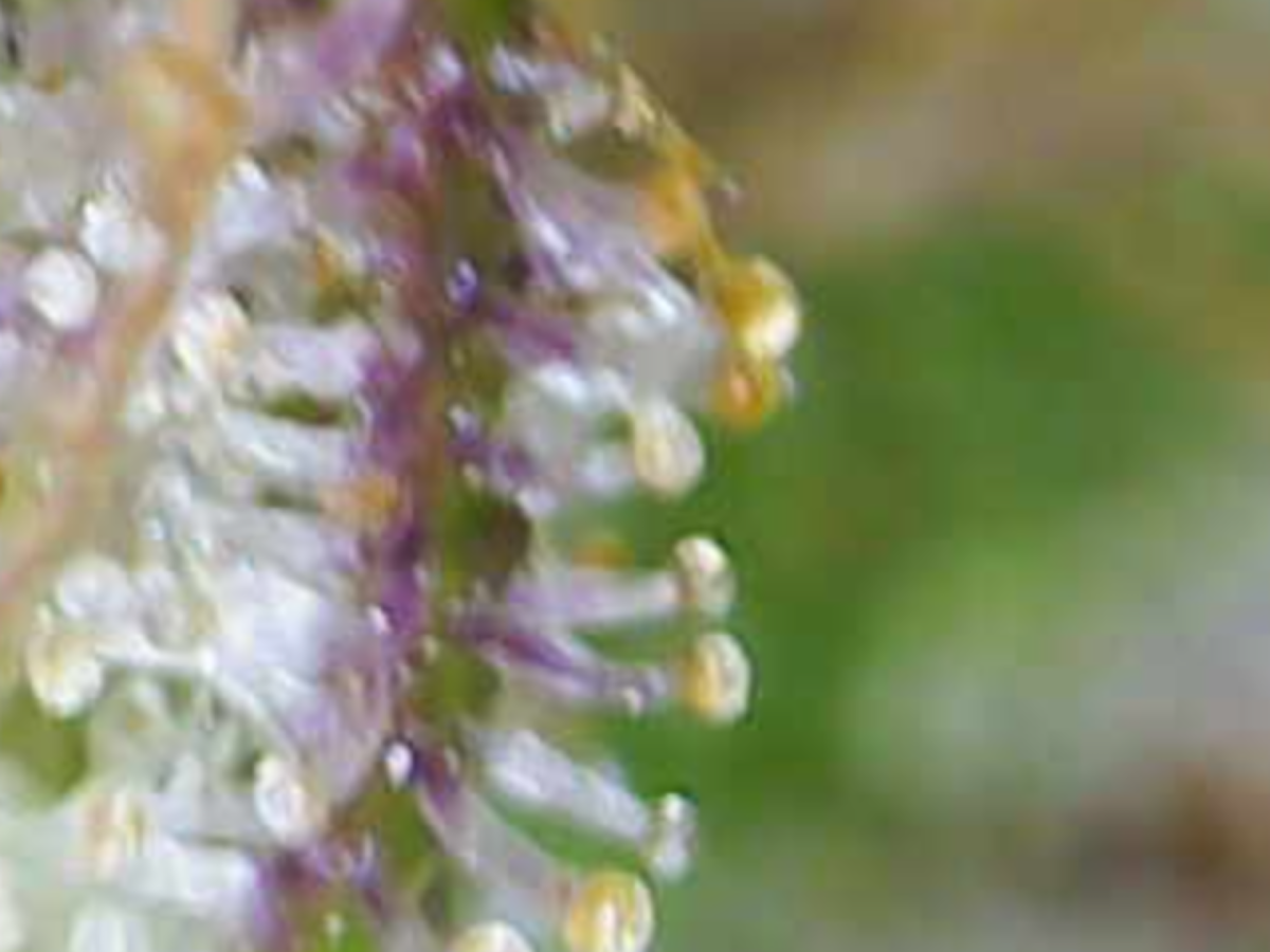 Image 2024 10 24 20 43 42 571
