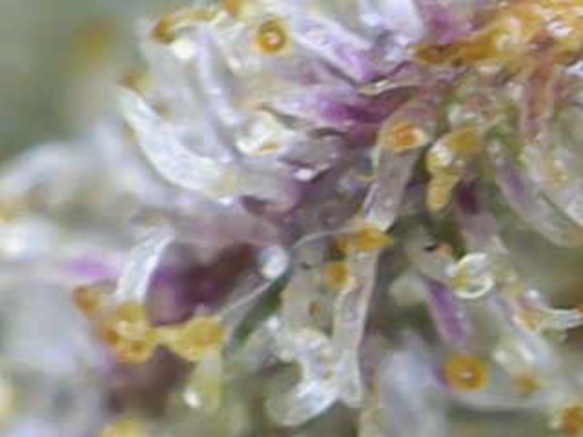 Image 2024 10 24 20 44 24 558