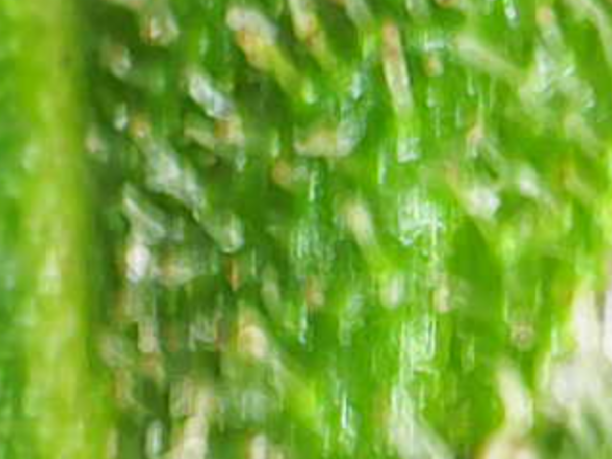 Image 2026 05 05 09 13 10 731