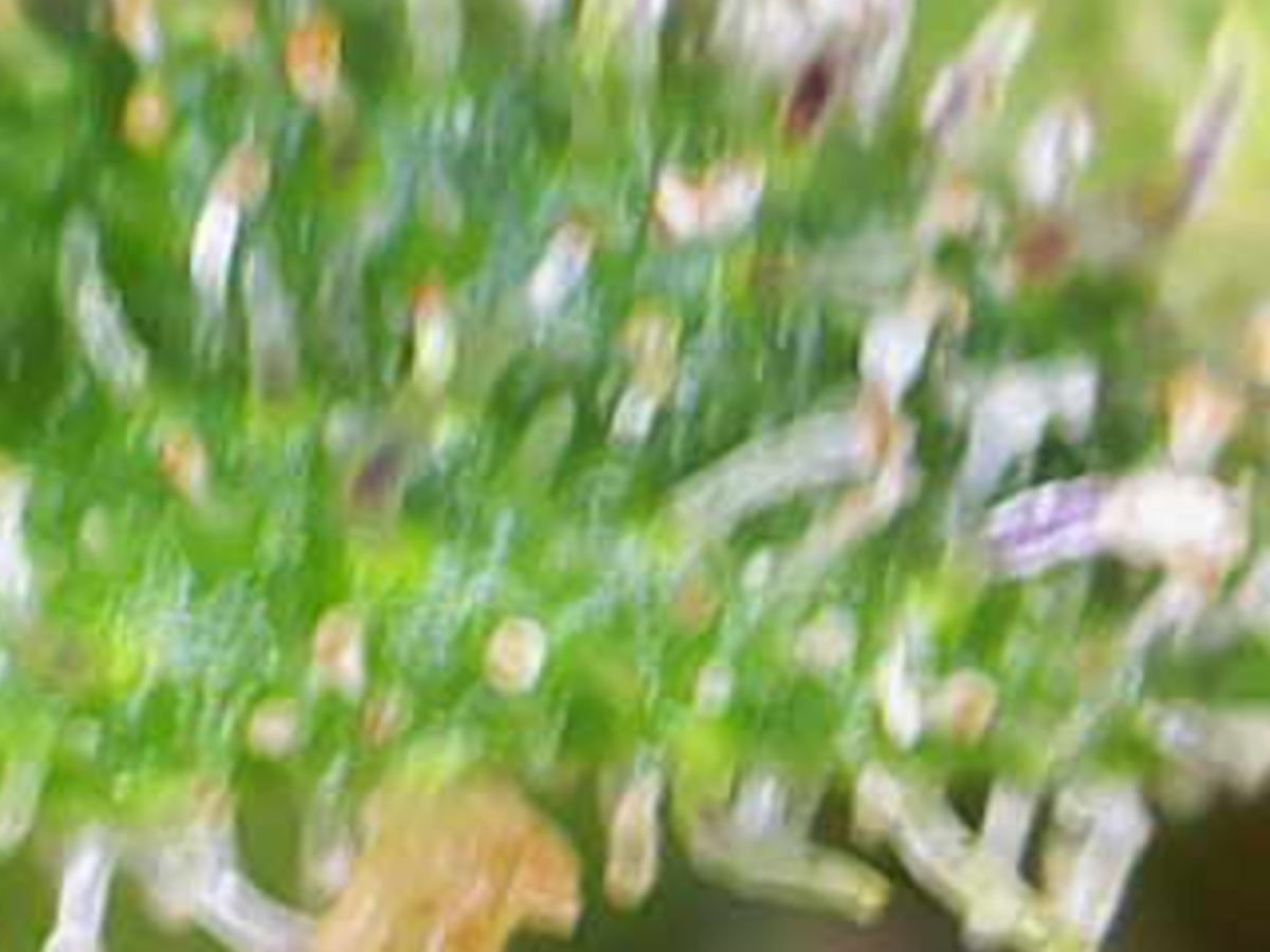 Image 2026 05 05 09 13 39 821