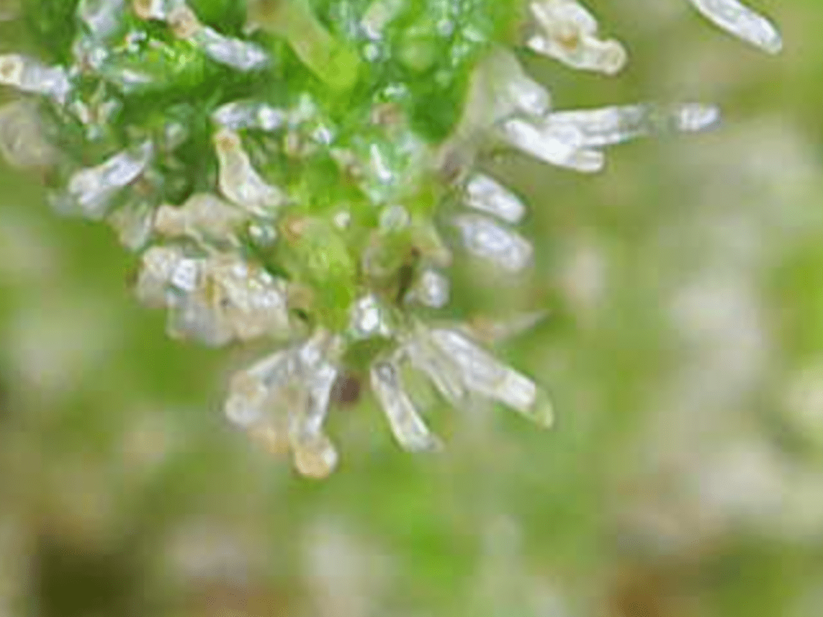 Image 2026 05 05 09 14 03 792