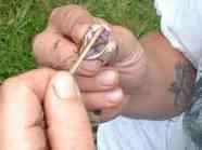 Images 12