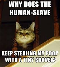 Images 17 3