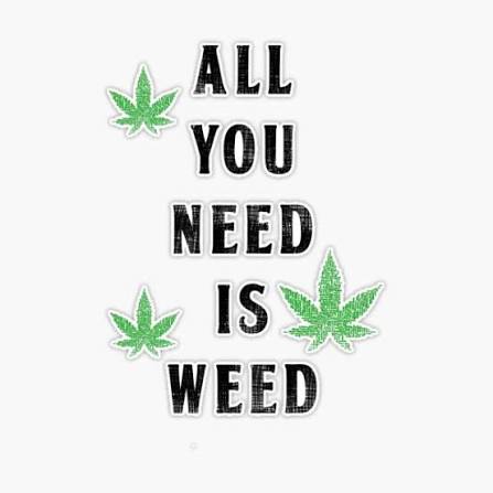 Images 2 7