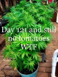 Images 27