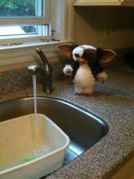Images 8