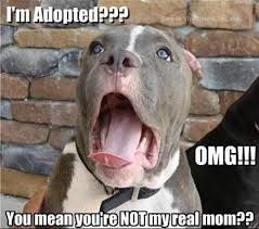 Images 94