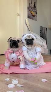 Images 95