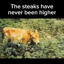 Images 95
