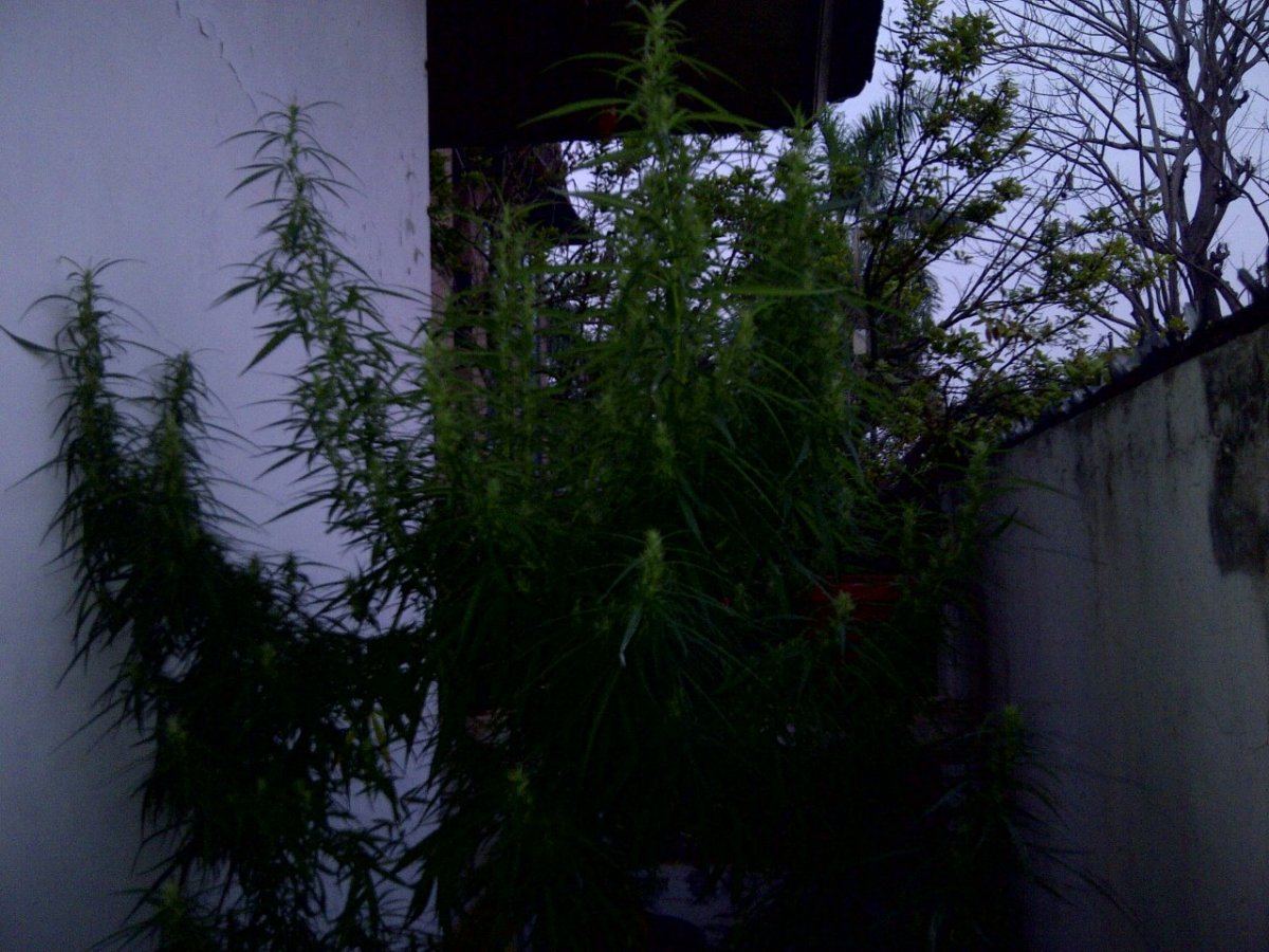 IMG 20121029 01202