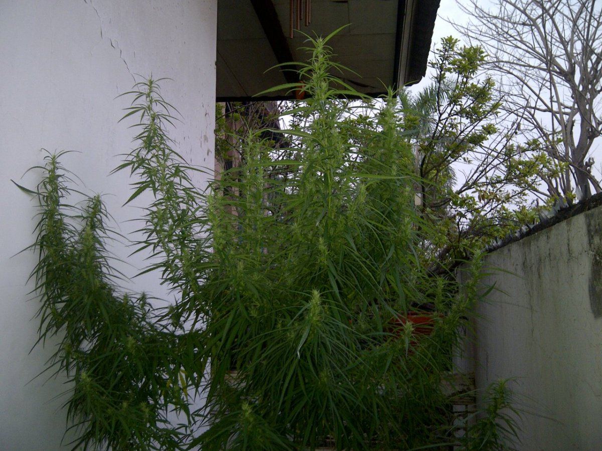 IMG 20121029 01203