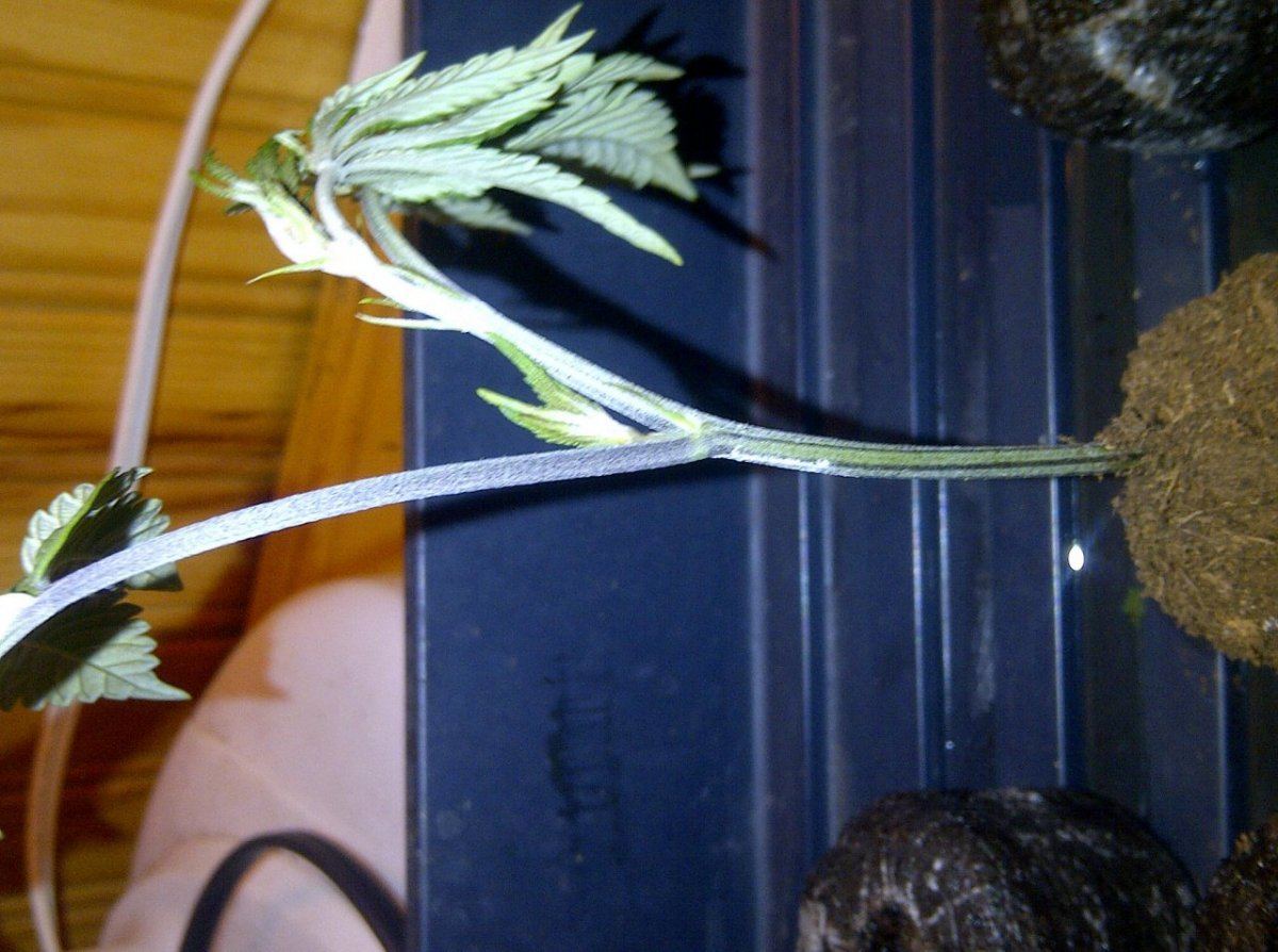 IMG 20121108 01386