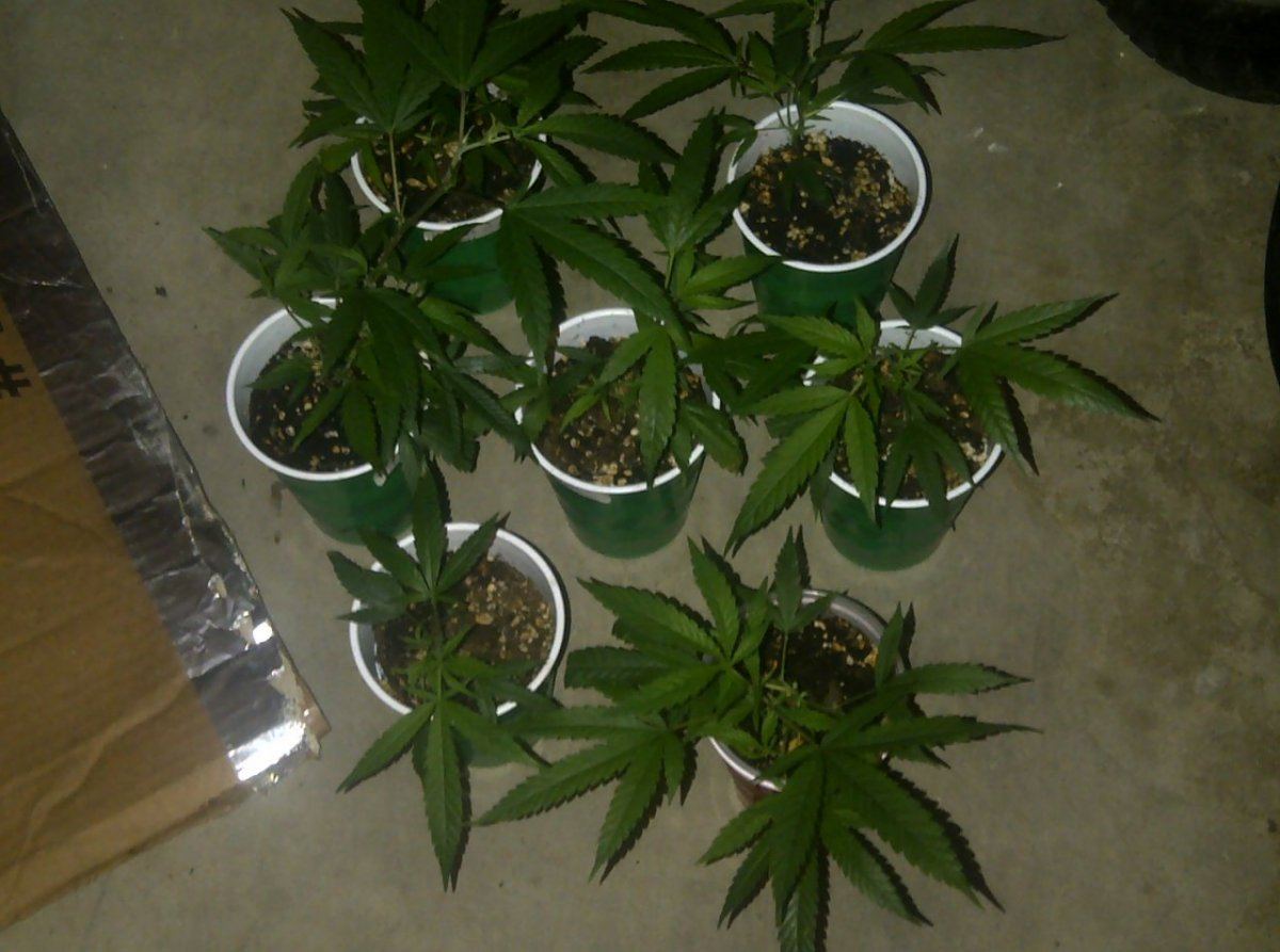 IMG 20130116 01930
