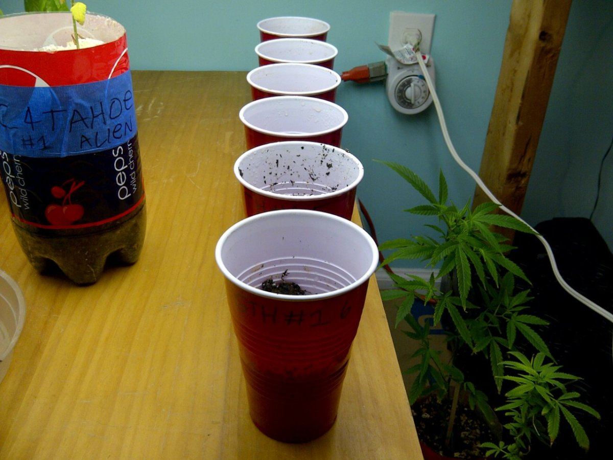 IMG 20130402 02387