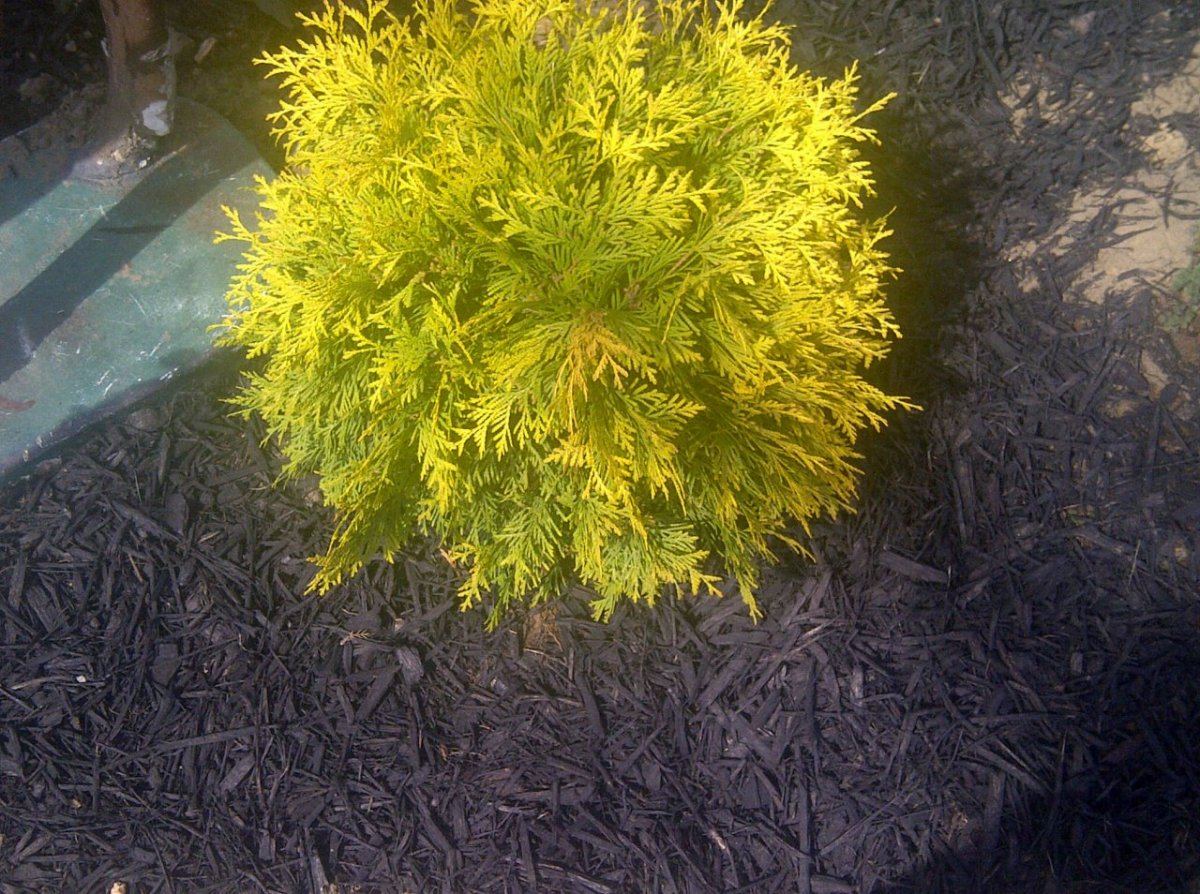 IMG 20130409 02456