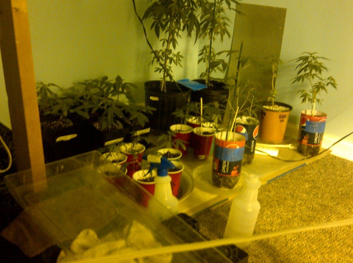 IMG 20130414 02538