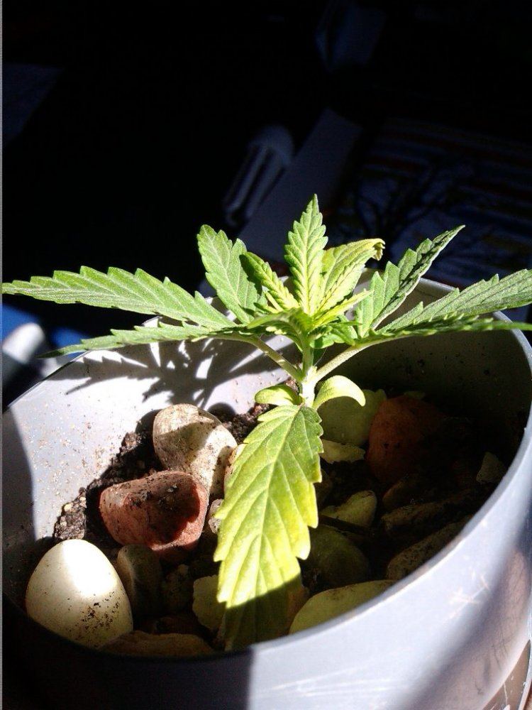 IMG 20130905 WA0002