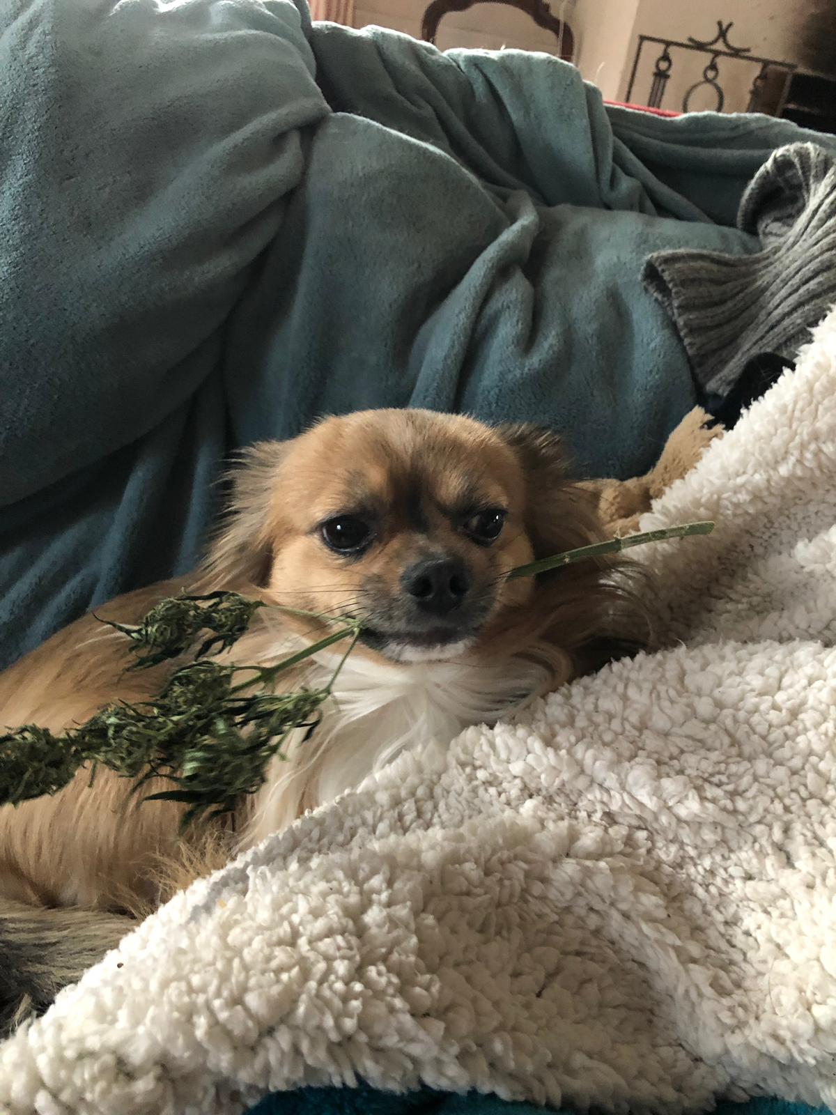 IMG 20200304 WA0000