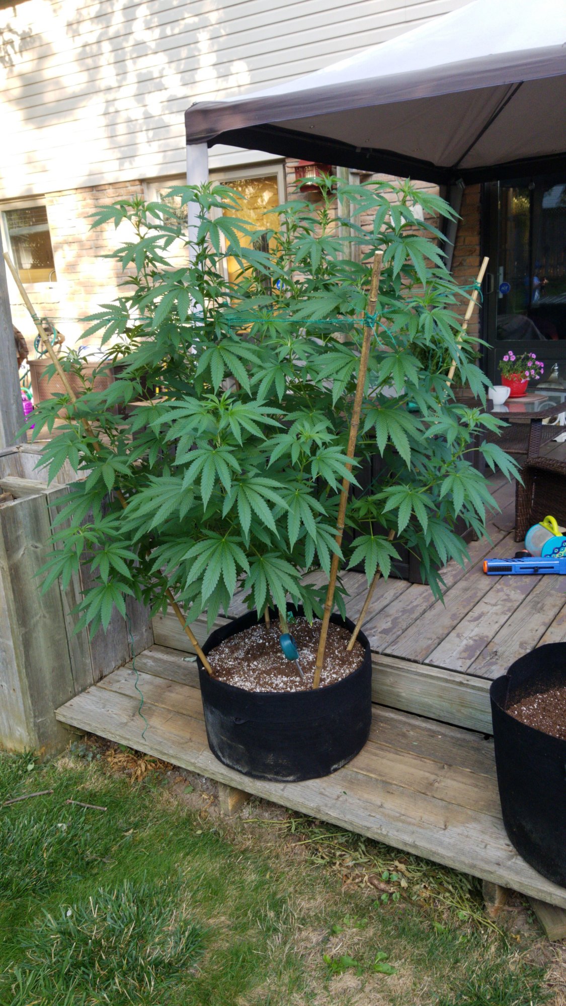 IMG 20200814 WA0008
