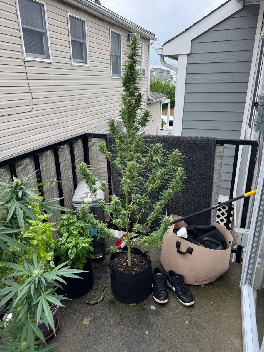 IMG 20250907 WA0010