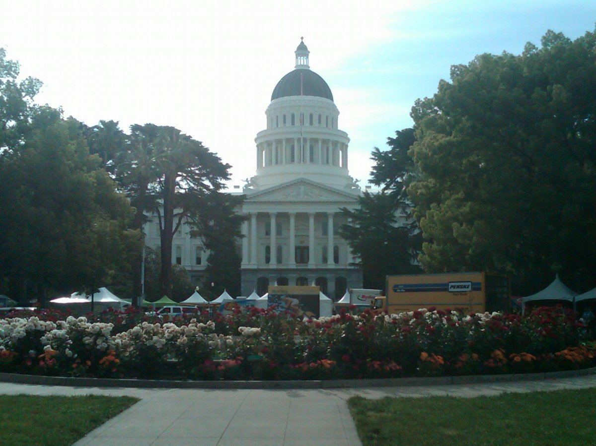 IMG00003 20100516 0840