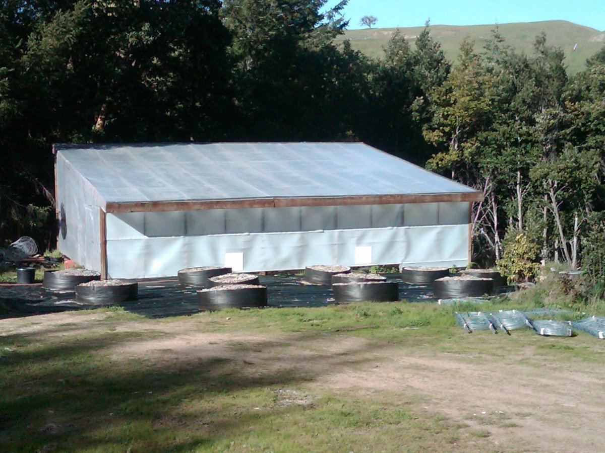 IMG00006 20100424 1727