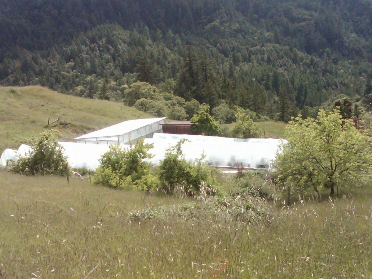 IMG00024 20100524 1558