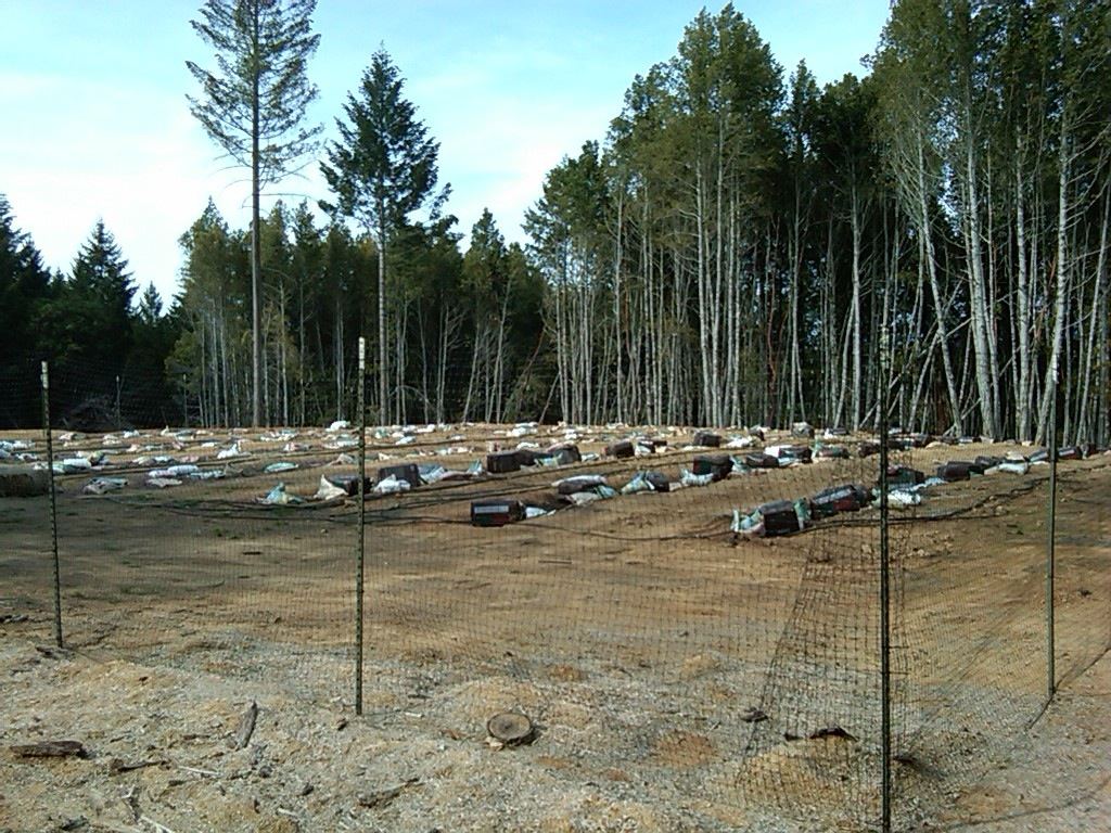 IMG00059 20100320 1622