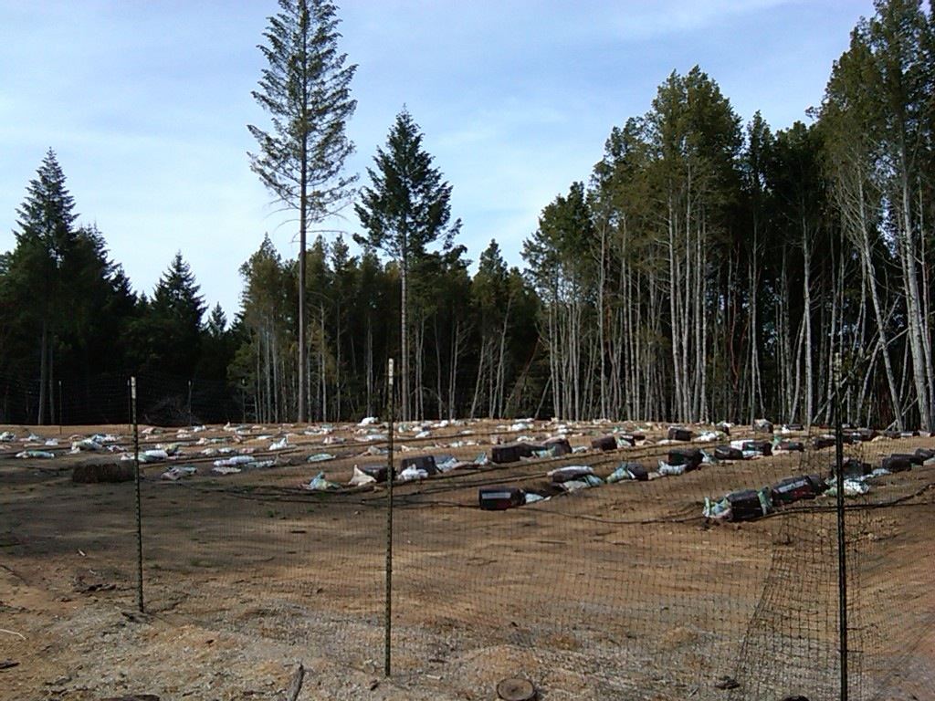 IMG00060 20100320 1622