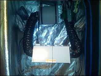 IMG00101 20100716 1957