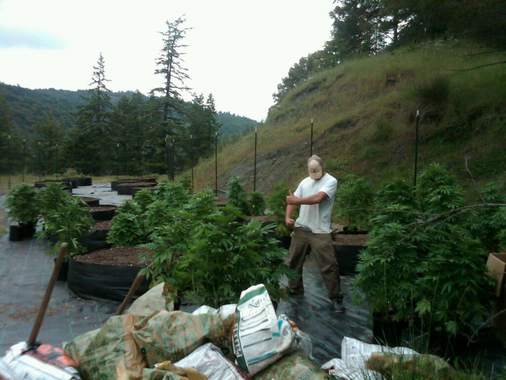 IMG00104 20100602 1300