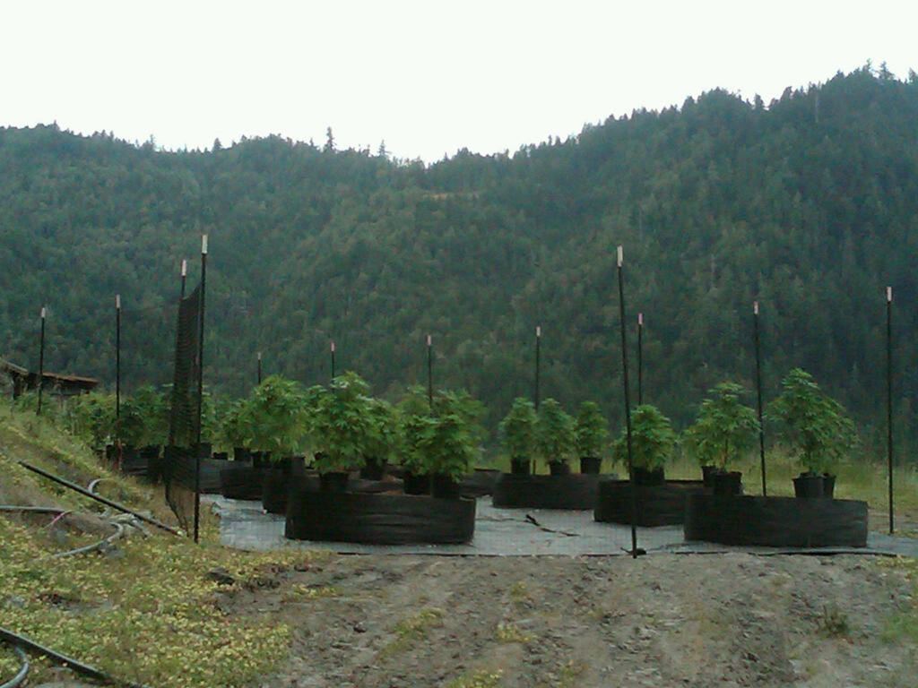 IMG00106 20100602 1354