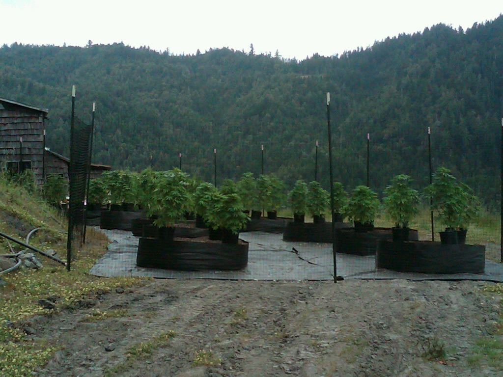 IMG00107 20100602 1355