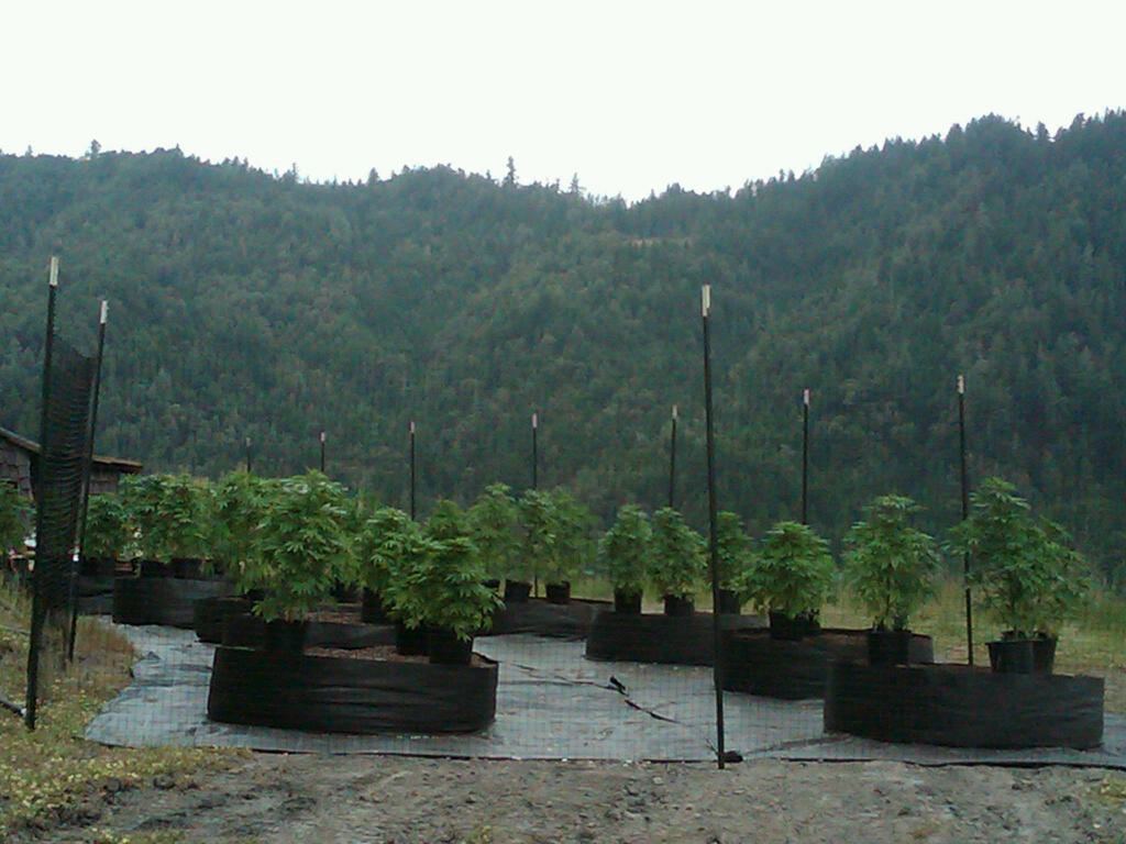 IMG00108 20100602 1355
