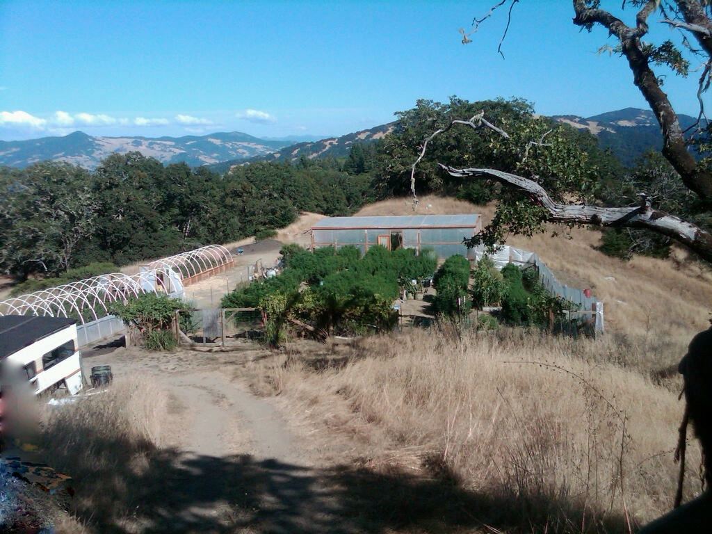 IMG00304 20100821 1714